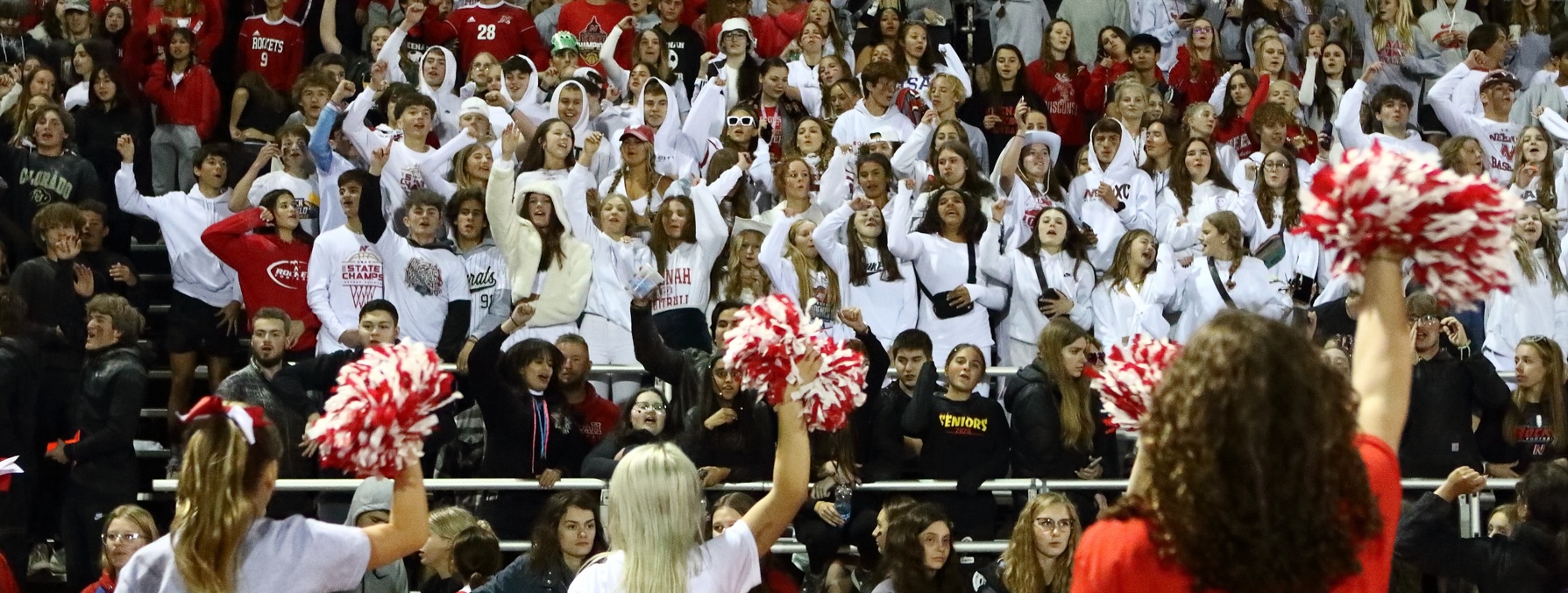 Fans at a game